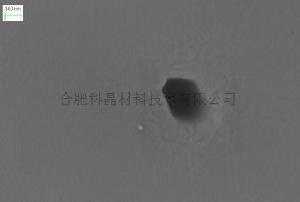 圖片16.jpg 圖片16.jpg